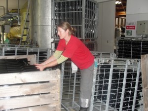 Prelaganje steklenic iz lesenih zabojnikov v železne kletke