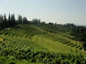 Jeruzalem pri Ormožu